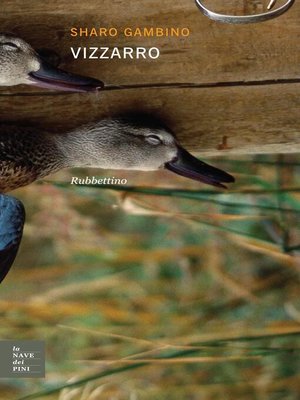 cover image of Vizzarro